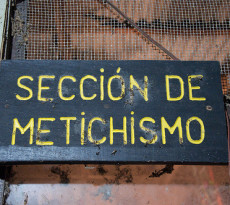 Sección de Metichismo (Department of Meddling)